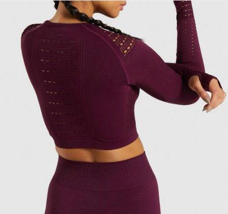 Women Seamless Yoga Sets