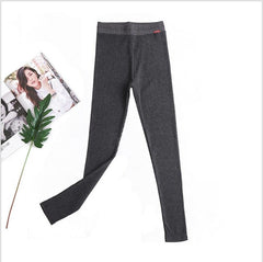 leggings women girls Warm