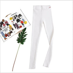 leggings women girls Warm