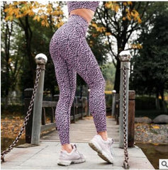 Accessories Workout Leggings