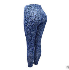 Accessories Workout Leggings